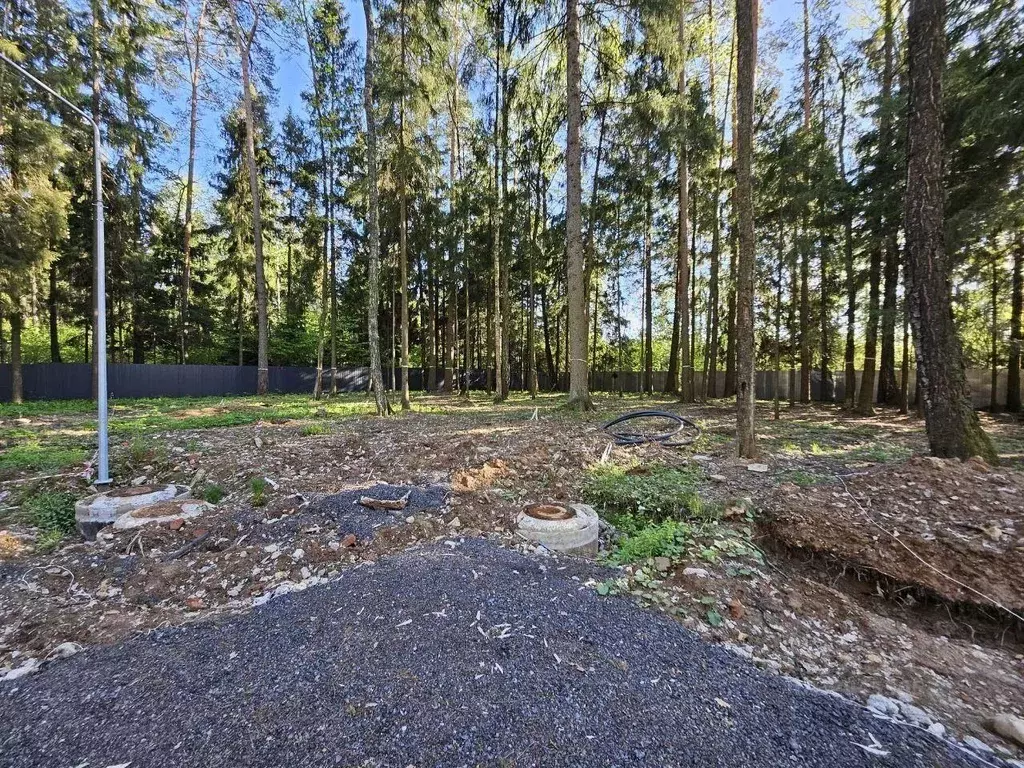 Участок, 9 сот., поселения (ижс) - Фото 2