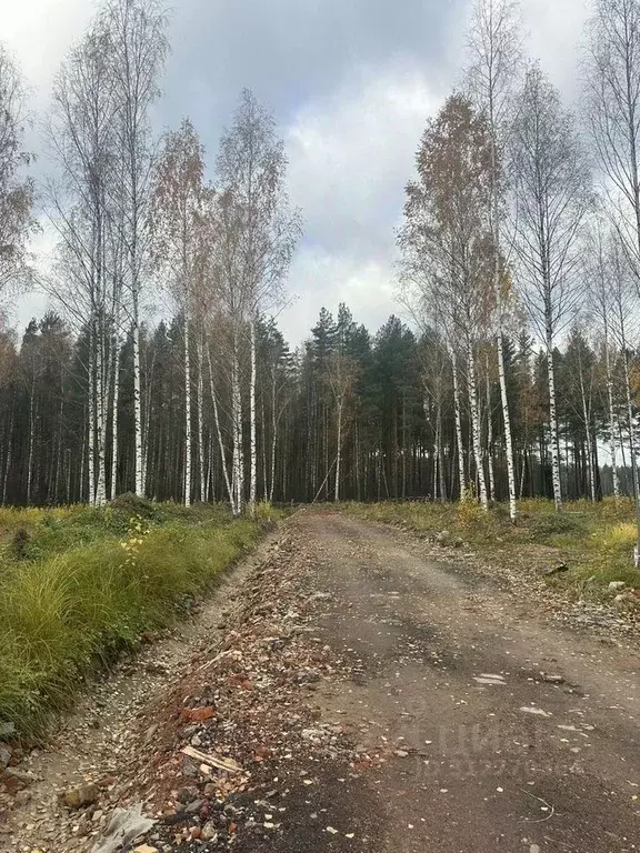 Участок в Московская область, Богородский городской округ, д. Пешково  ... - Фото 0