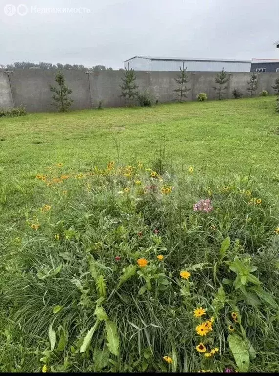 Дом в посёлок городского типа Вахруши, Базарная улица (60 м) - Фото 2