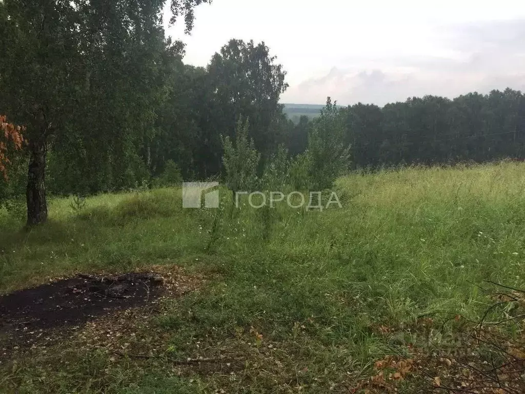 Участок в Кемеровская область, Новокузнецк Листвяги пгт, ул. ... - Фото 0