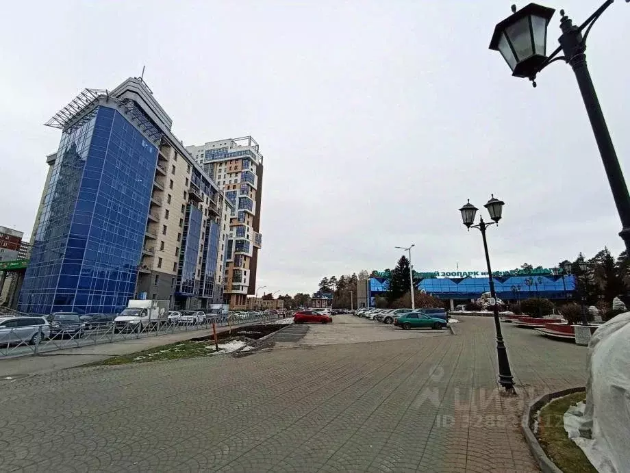 Офис в Новосибирская область, Новосибирск ул. Жуковского, 102 (60 м) - Фото 2