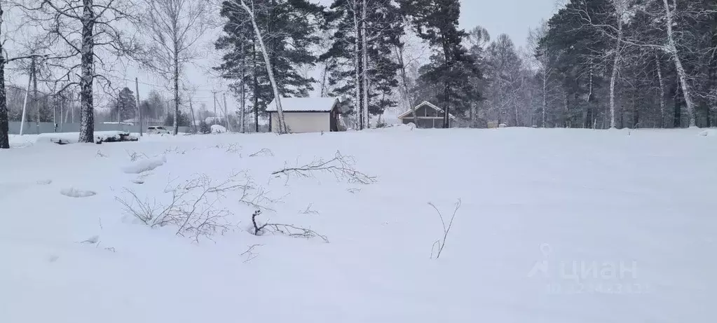 Участок в Томская область, Томский район, д. Кандинка ул. Гагарина, 37 ... - Фото 2