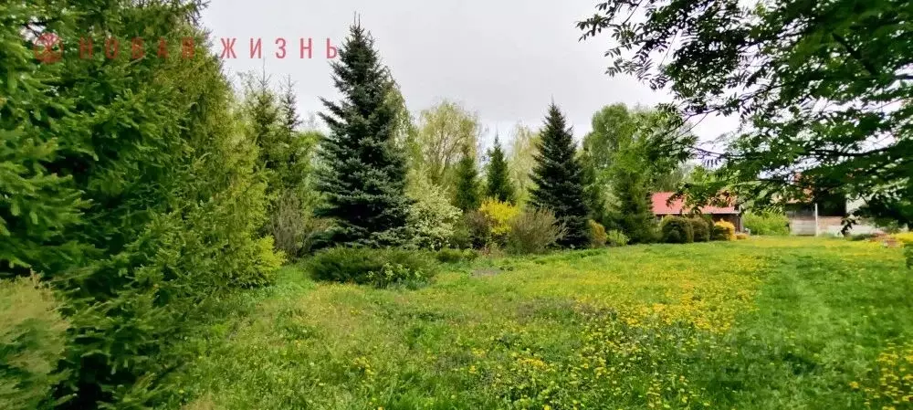 Коттедж в Самарская область, Самара пос. Мехзавод, Березовая Аллея ... - Фото 2