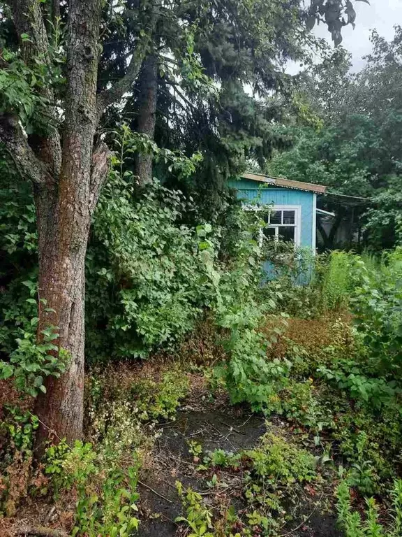 Участок в Ростовская область, Ростов-на-Дону Архитектурная ул., 43 ... - Фото 2