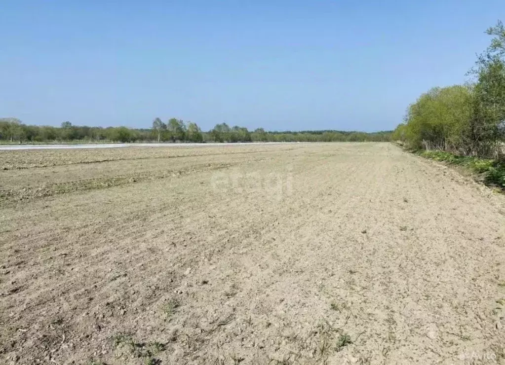 Участок в Сахалинская область, Анивский городской округ, с. ... - Фото 1