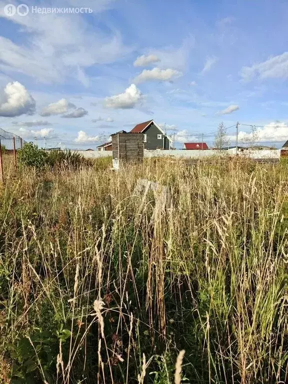 Участок в Кипенское сельское поселение, КП Ропшинское (10 м) - Фото 1