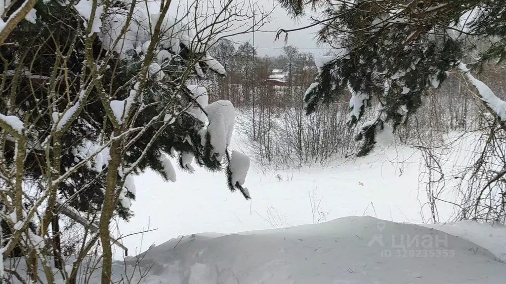 Участок в Московская область, Домодедово городской округ, д. Жуково ... - Фото 2