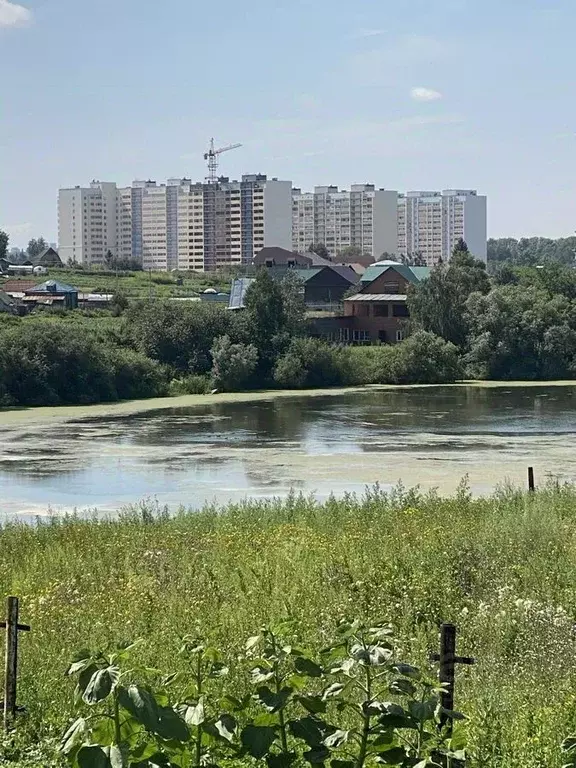 Участок в Новосибирская область, Новосибирский район, Каменский ... - Фото 0