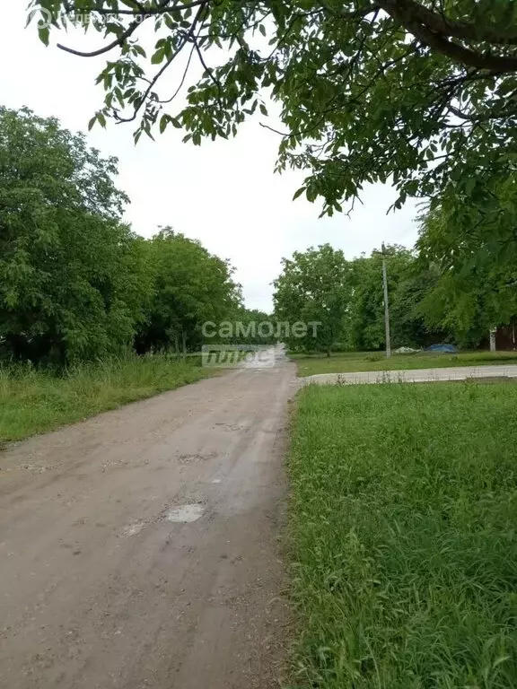 Участок в Абинск, Коллективная улица (8.81 м) - Фото 2