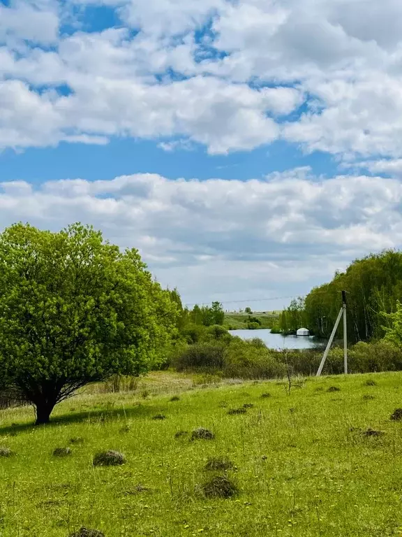 Участок в Московская область, Кашира городской округ, д. Завалье-2  ... - Фото 0