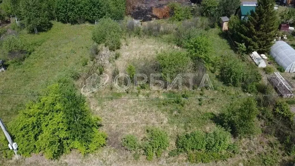 Участок в Тюменская область, Тюменский муниципальный округ, Лесник-2 ... - Фото 2
