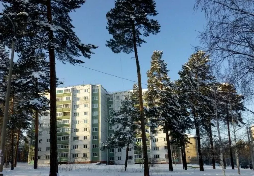 1-к кв. Иркутская область, Братск Энергетик жилрайон, ул. Наймушина, ... - Фото 0