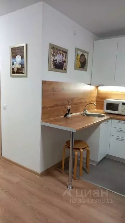 Студия Московская область, Ленинский городской округ, пос. Битца Южная ... - Фото 1