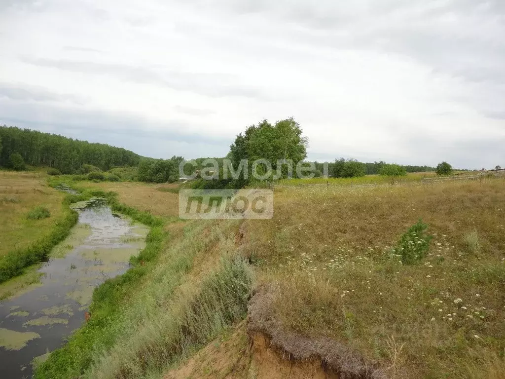 Участок в Свердловская область, Каменский муниципальный округ, д. ... - Фото 2