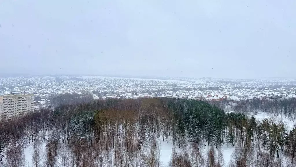 2-к кв. Татарстан, Казань ул. Чингиза Айтматова, 11 (65.0 м) - Фото 2