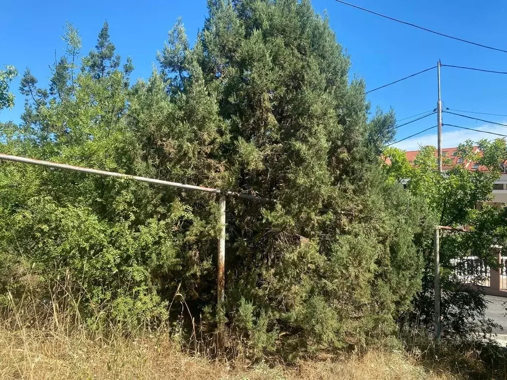 Участок в Крым, Ялта муниципальный округ, Восход пгт 2 (10.0 сот.) - Фото 1