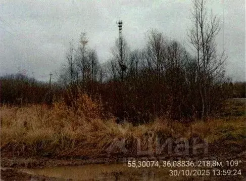 Участок в Московская область, Наро-Фоминский городской округ, д. ... - Фото 1