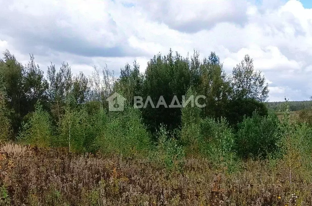 Участок в Владимирская область, Владимир с. Мосино, ул. Березная (13.6 ... - Фото 2