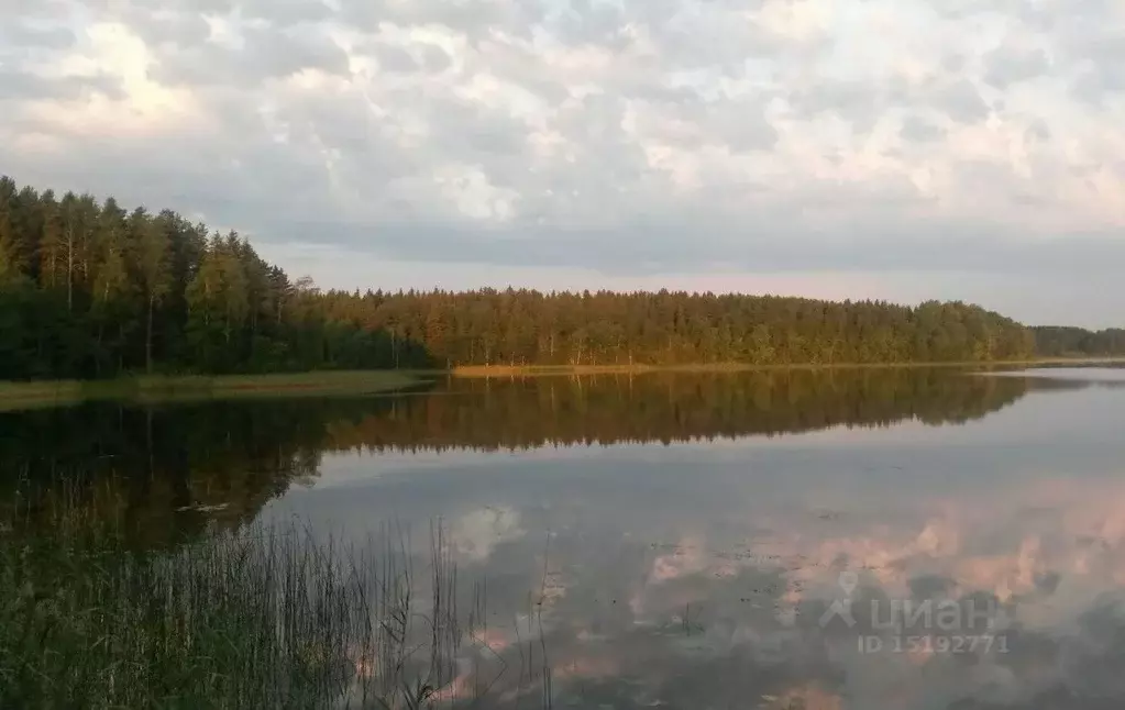 Участок в Тверская область, Осташковский городской округ, д. Заплавье  ... - Фото 1