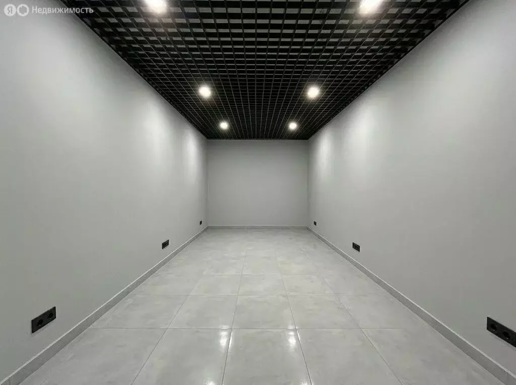 Помещение свободного назначения (245 м) - Фото 2