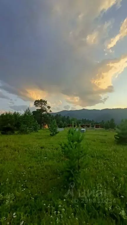 Участок в Алтай, Чемальский район, пос. Усть-Сема пер. В.И. Чаптынова ... - Фото 0