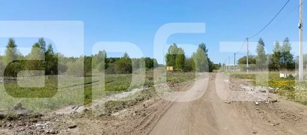 Участок в Костромская область, Кострома Соколиное Гнездо кп,  (8.1 ... - Фото 1