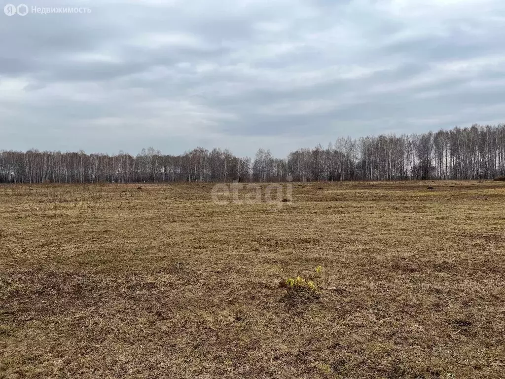 Участок в Кемеровский муниципальный округ, СНТ Вишнёвый Сад (20.02 м) - Фото 1
