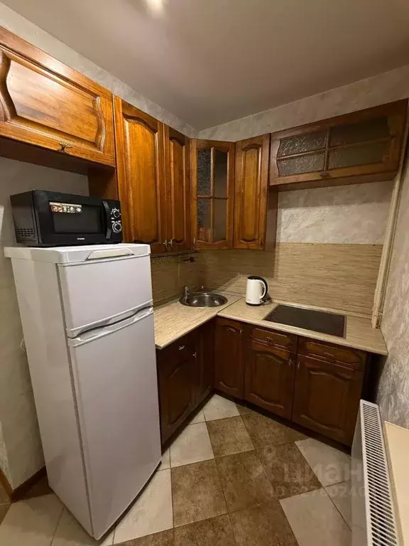 1-к кв. Нижегородская область, Нижний Новгород ул. Спутника, 26 (28.2 ... - Фото 1