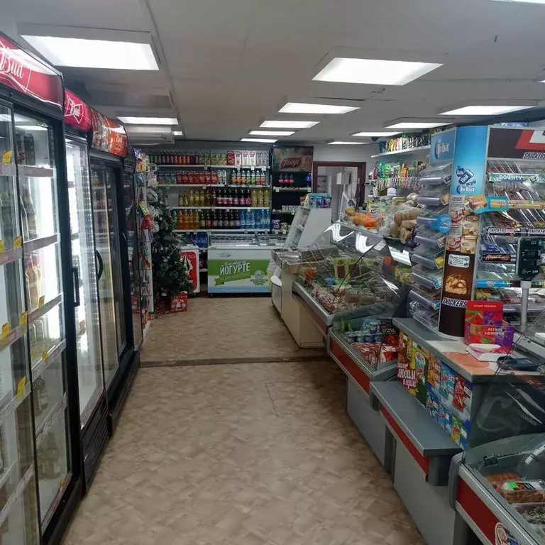 Торговая площадь в Новосибирская область, Искитим Речной пер., 3 (96 ... - Фото 2