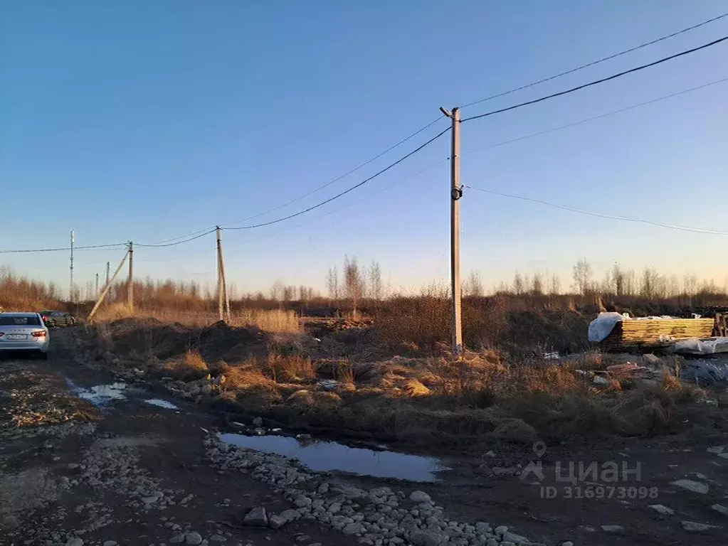 Участок, 12 сот., поселения (ижс) - Фото 0