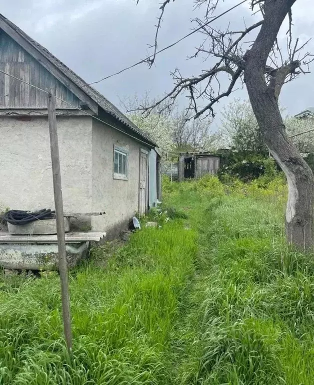 Участок в Краснодарский край, Новороссийск городской округ, с. Мысхако ... - Фото 1