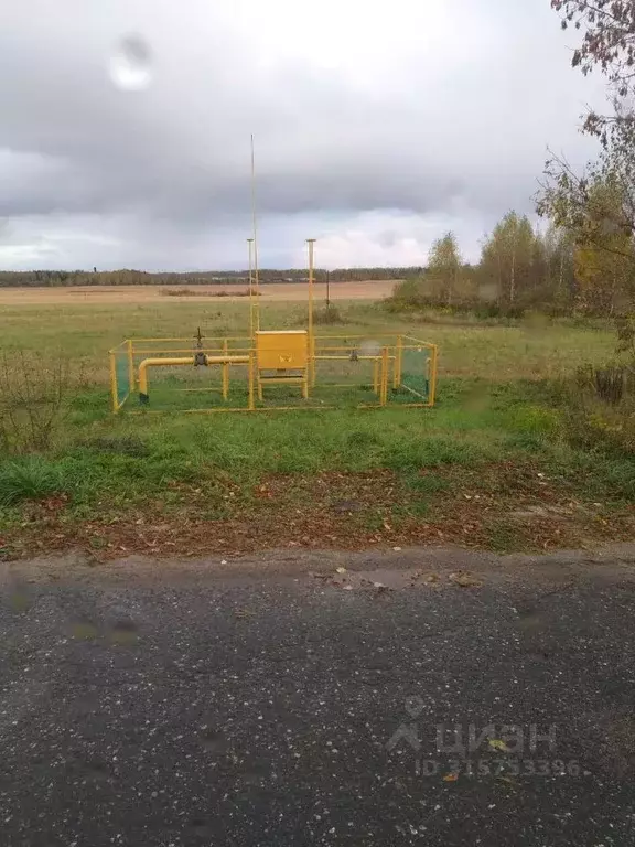 Участок в Нижегородская область, Городецкий муниципальный округ, д. ... - Фото 1