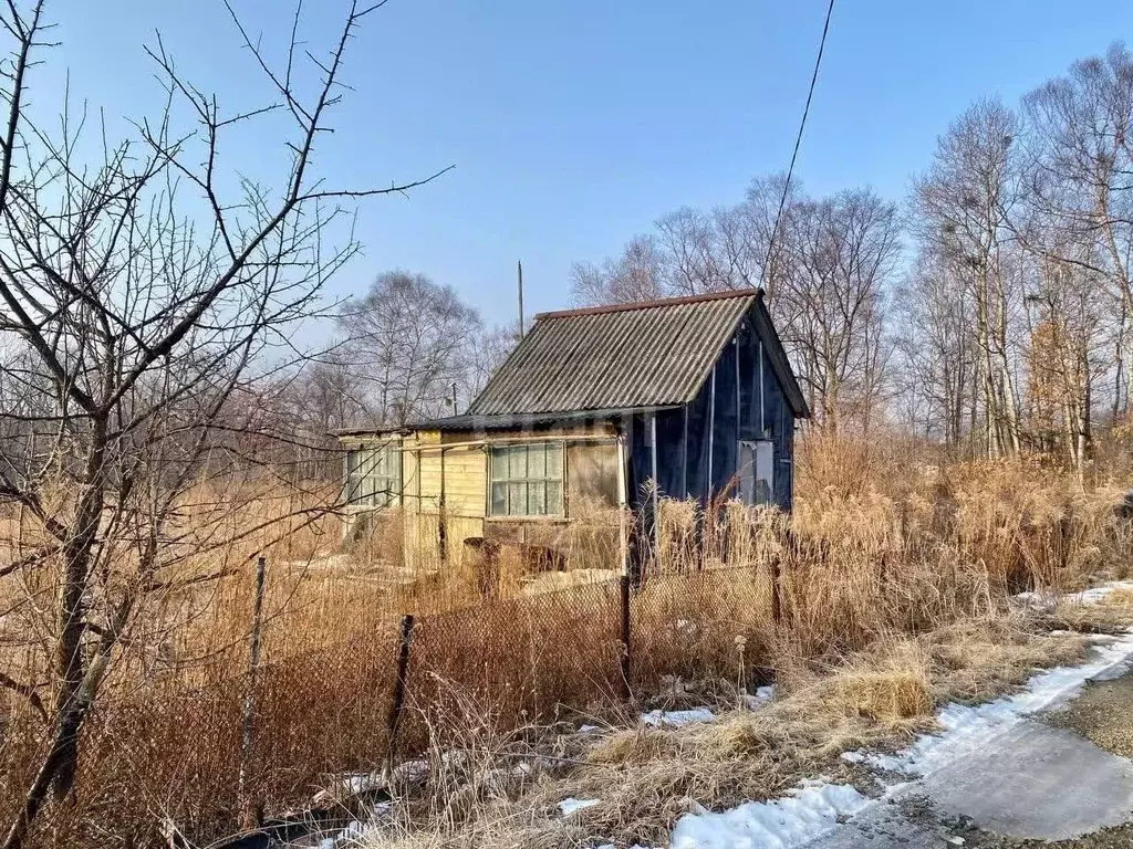 Дом в Приморский край, Надеждинский район, Буревестник СТ  (35 м) - Фото 0