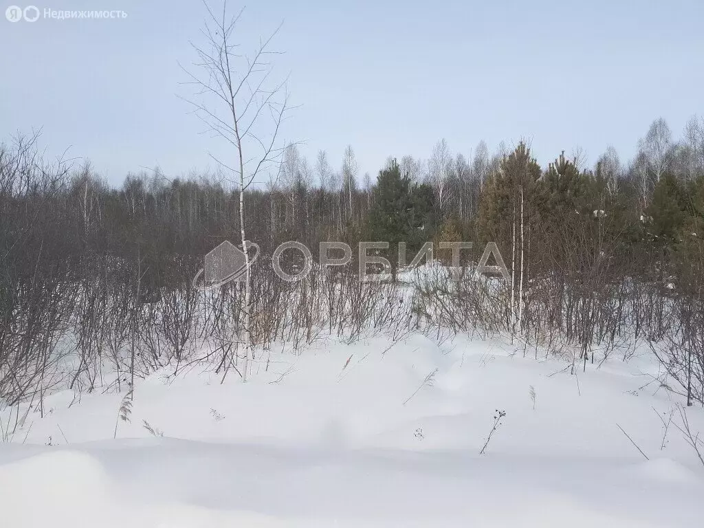 Участок в Свердловская область, Тугулымский муниципальный округ (50 м) - Фото 1