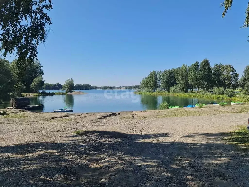 Участок в Алтайский край, Советский район, с. Шульгинка ул. ... - Фото 1