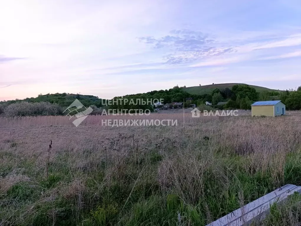 Участок в Рязанская область, Пронск рп ул. Заводская (50.0 сот.) - Фото 1