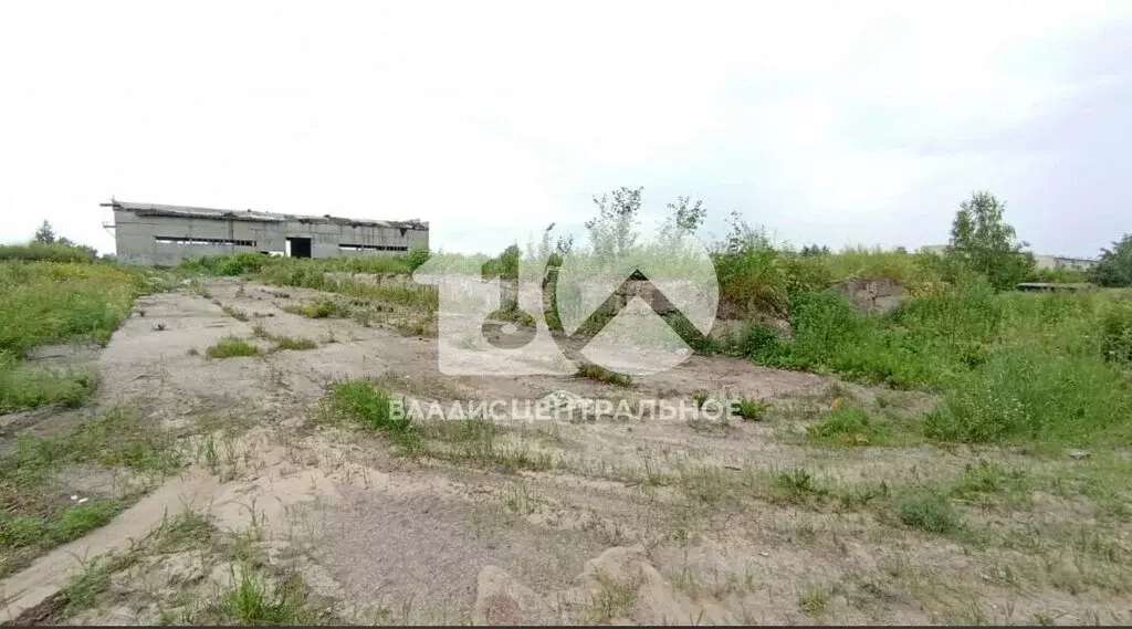 Участок в Новосибирский район, Станционный сельсовет, посёлок Садовый ... - Фото 1