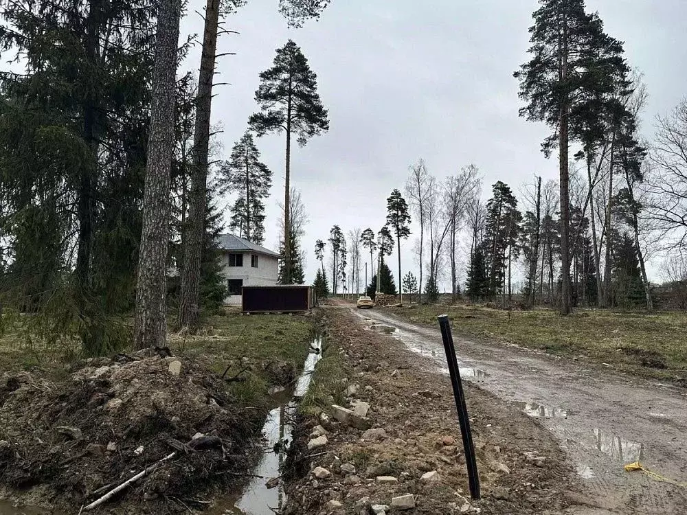 Участок в Московская область, Щелково городской округ, Литвиново ... - Фото 1