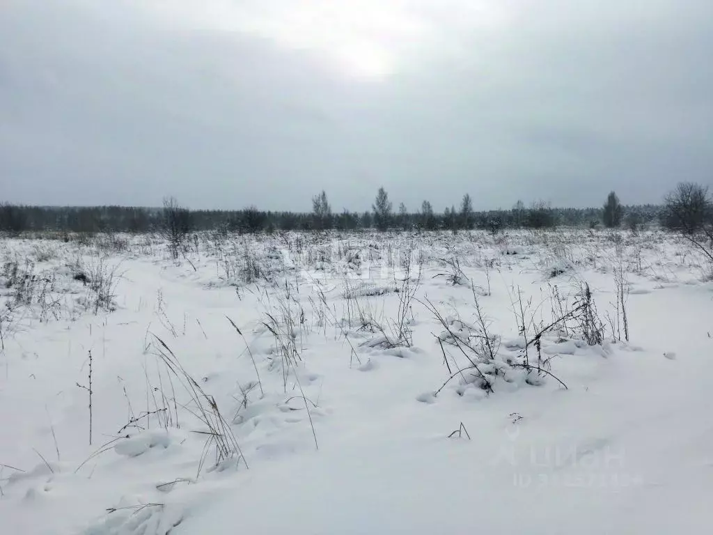 Участок в Нижегородская область, Дальнеконстантиновский муниципальный ... - Фото 0