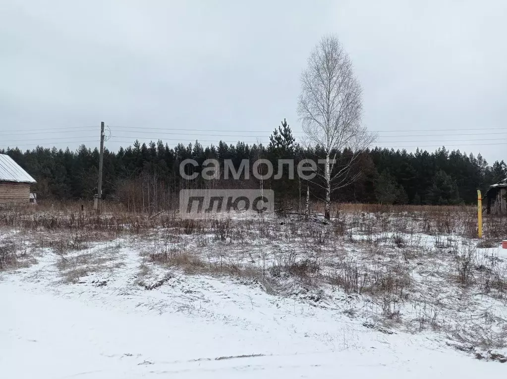 Участок в Владимирская область, Гусь-Хрустальный район, Красное Эхо ... - Фото 1