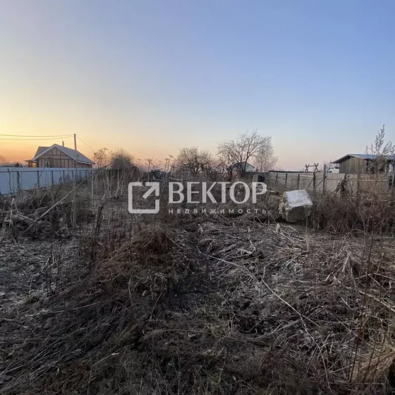 Участок в Ярославская область, Ярославский муниципальный округ, д. ... - Фото 2