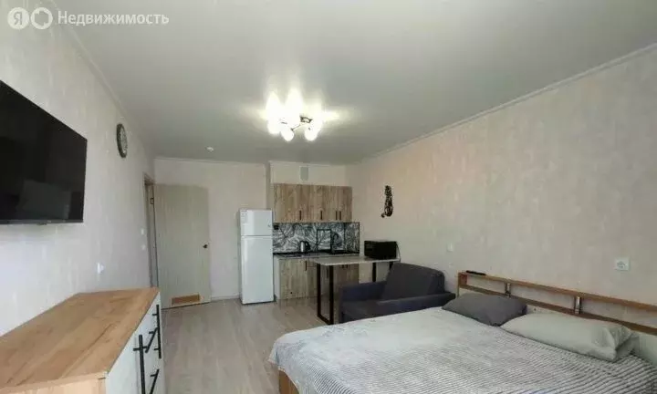 Квартира-студия: Ростов-на-Дону, улица Висаитова, 10/9 (26 м) - Фото 1