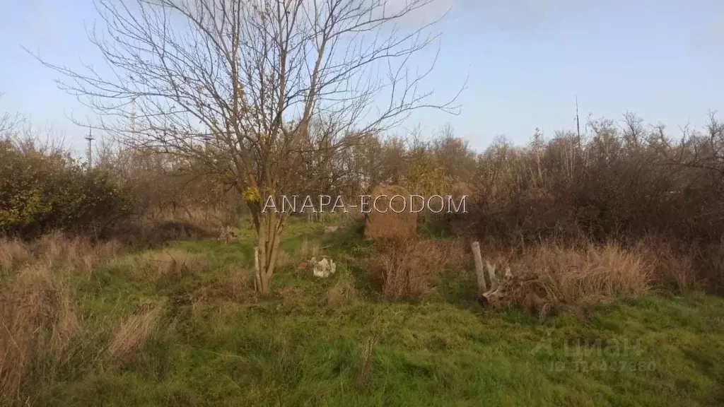 Участок в Краснодарский край, Темрюкский район, Старотитаровское ... - Фото 2