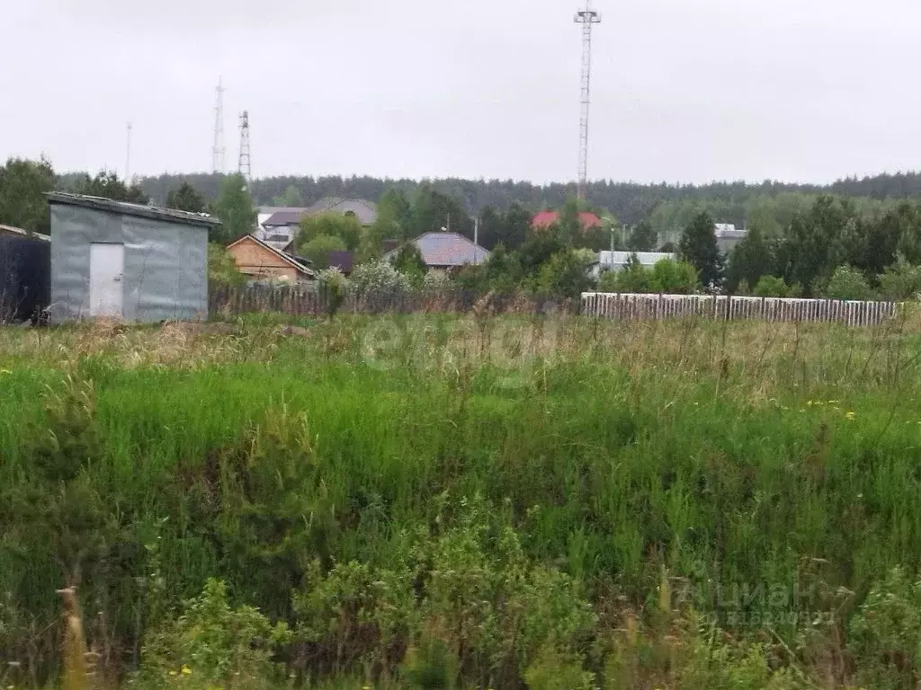 Участок в Свердловская область, Талица ул. Трудящихся (5.0 сот.) - Фото 2