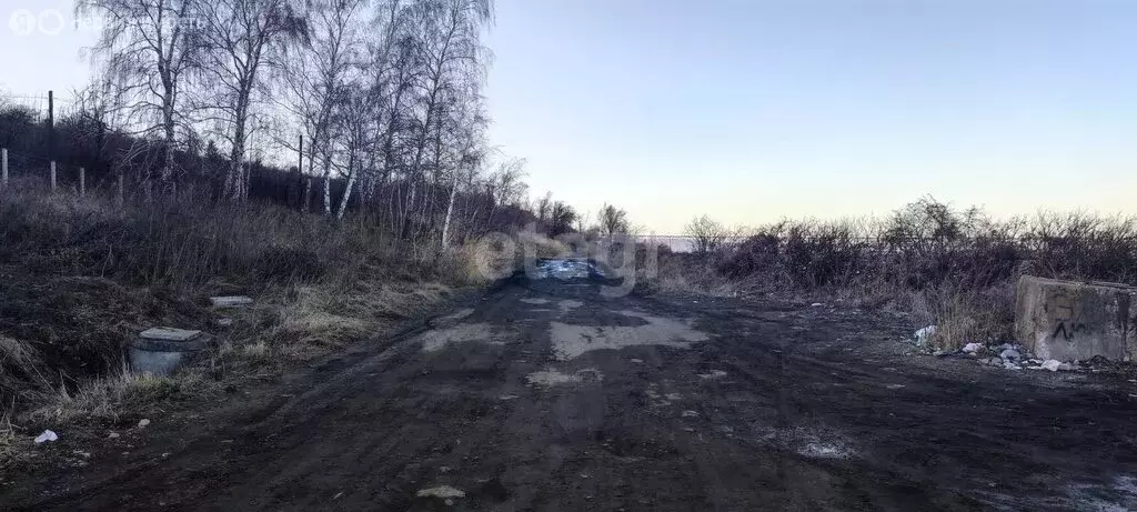 Участок в Ульяновск, СНТ УАЗ-1 (4.3 м) - Фото 1