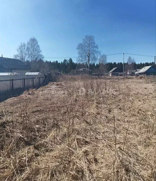 Участок в Архангельская область, Плесецкий муниципальный округ, ... - Фото 1