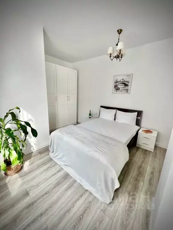 2-к кв. Краснодарский край, Сочи ул. Удачи, 14 (45.0 м) - Фото 0