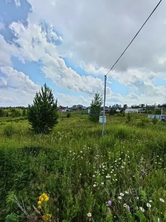 Участок в Нижегородская область, Богородский муниципальный округ, с. ... - Фото 0