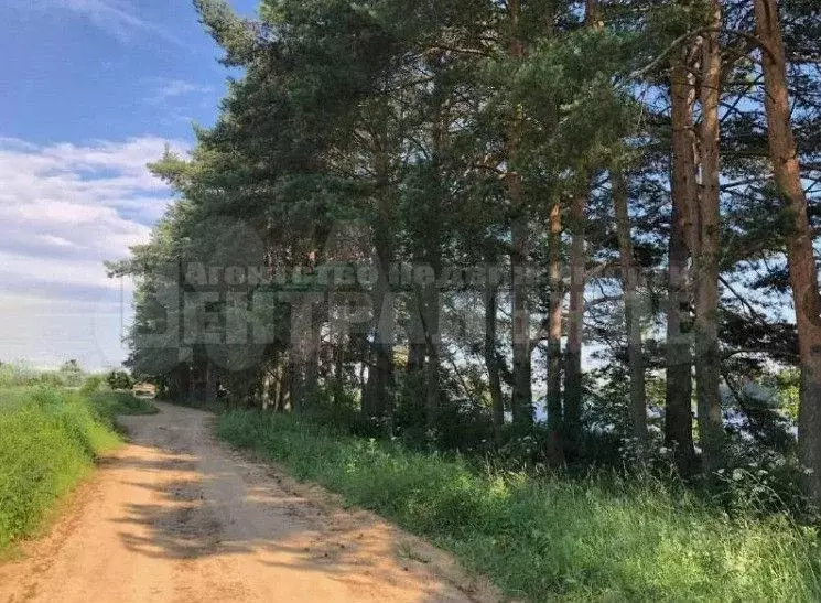 Участок 15 сот. (ИЖС) - Фото 1