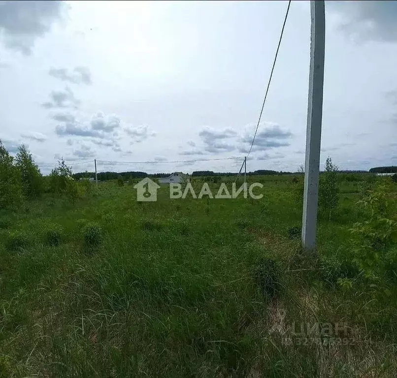 Участок в Нижегородская область, Богородский муниципальный округ, д. ... - Фото 2